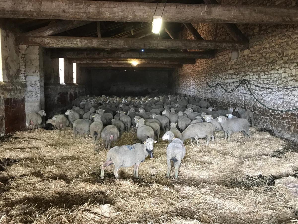 Studio A La Ferme Villa Arlés Exterior foto